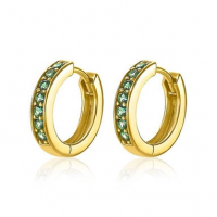 Oorringen zinzi - 601559