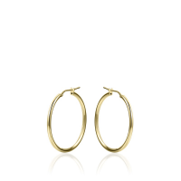 Zilver oorsieraden - 601860 Zilver oorsieraden - 601860