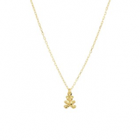 Collier beer - 602346 Collier beer - 602346