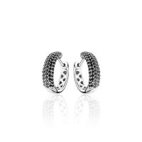 Oorsieraad Zilver - 602672