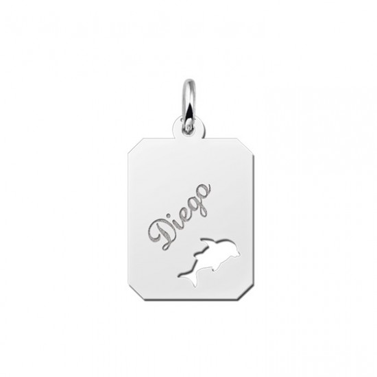 Zilveren graveerplaatje kind recht met dolfijntje - 603220