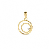 14k gouden Hanger rondje zirkonia - 604147