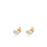 Oorknoppen 14K - 600186 Oorknoppen 14K - 600186