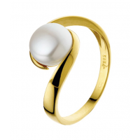 Ring parel - 20005220 Ring parel - 20005220