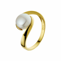 Ring parel - 20005220 Ring parel - 20005220