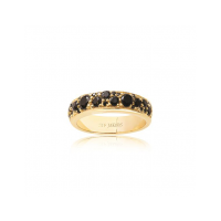SIF JAKOBS NOVARA UNO RING SJ-R1062-BK-YG-56 - 604987 SIF JAKOBS NOVARA UNO RING SJ-R1062-BK-YG-56 - 604987