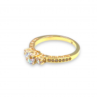 Gouden ring customized - 20006173 Gouden ring customized - 20006173