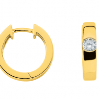 Zilver creolen verguld met Zirkonia - 20006889 Zilver creolen verguld met Zirkonia - 20006889