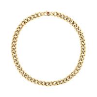 Schakelcollier - Staal - 45cm - 20007838