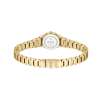 Boss Candor Gracey Goudkleurig 1502863 - 20009224