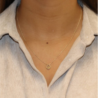 Collier hart in cirk - 20009393 Collier hart in cirk - 20009393