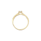 Ring CZ Solitaire Pave GG - 20009453