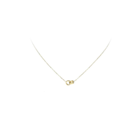 Collier - Twee open Cirkels - 20009494
