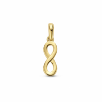14K Gouden hanger infinity - 20007131