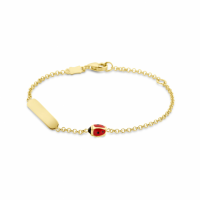 graveerarmband lieveheersbeestje plaat 3,5 mm 11 - 13 cm - 20007901 graveerarmband lieveheersbeestje plaat 3,5 mm 11 - 13 cm - 20007901