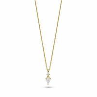 FJF JEWELLERY Icon Kite Ketting Verguld FJF0010036YWH - 20006703 FJF JEWELLERY Icon Kite Ketting Verguld FJF0010036YWH - 20006703